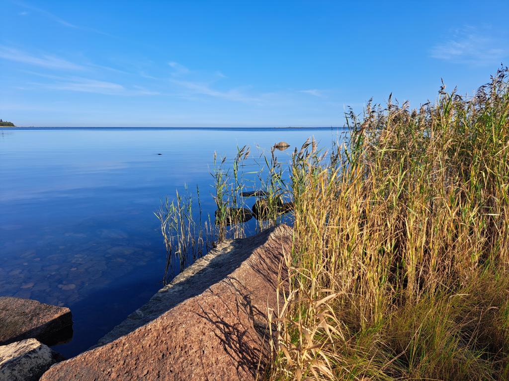 Kuva meren rannasta.