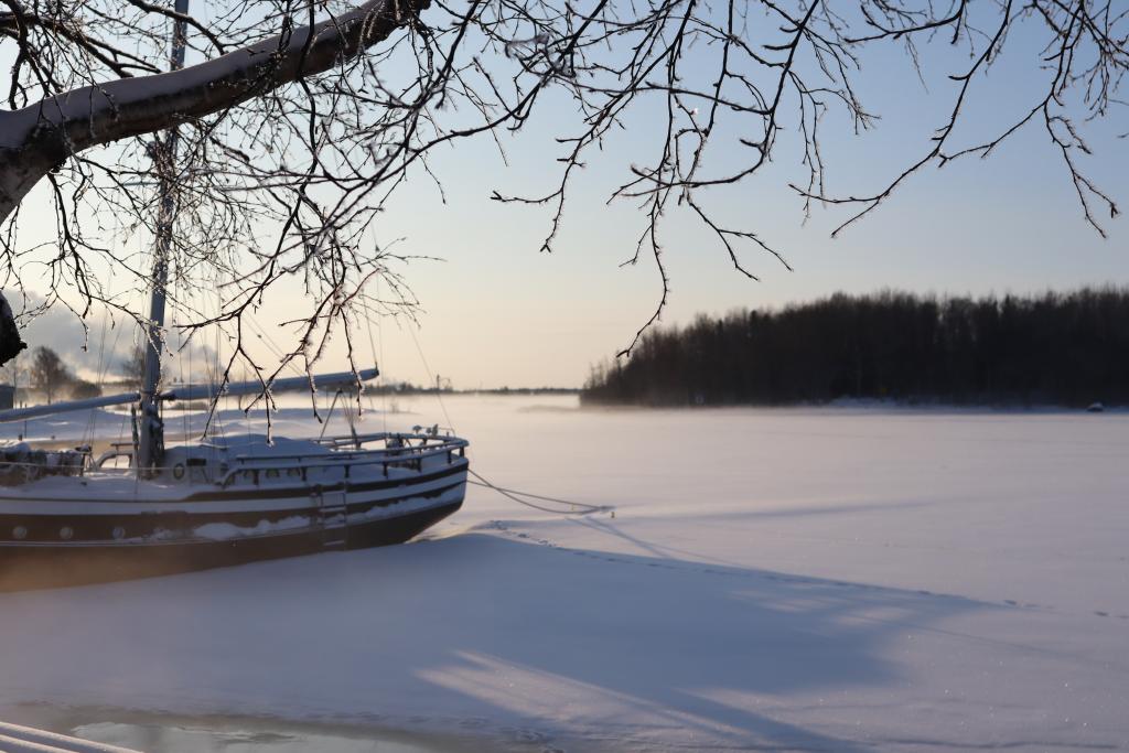 Museonranta talvisessa maisemassa