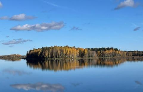 Haapajärven tekojärvi.