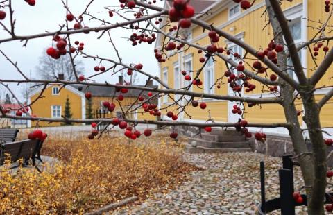 Raahe marraskuussa.