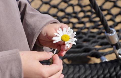 Kuvassa lapsi pitämässä kukkaa.