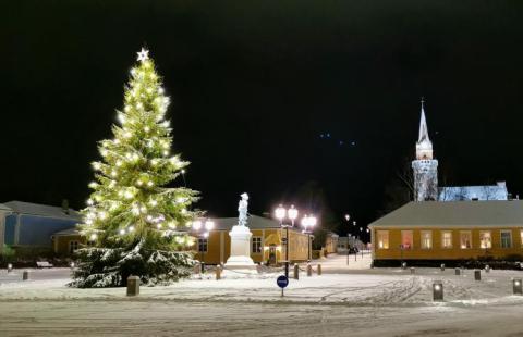Pekkatori joulutunnelmissa.