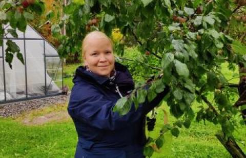 Elina collecting plums in her home garden.