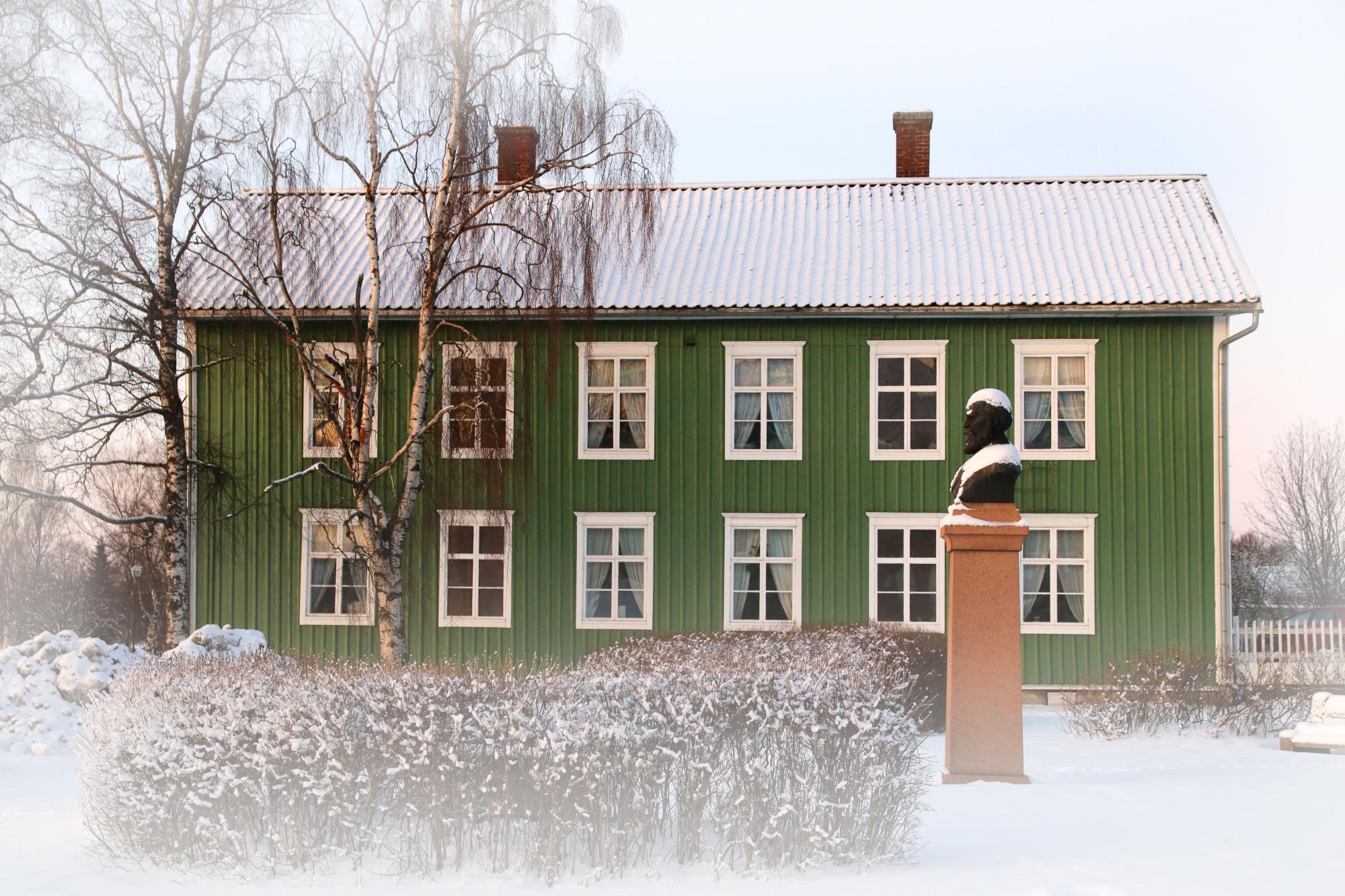 Здание Зелёный Совелиус, снятое зимой.